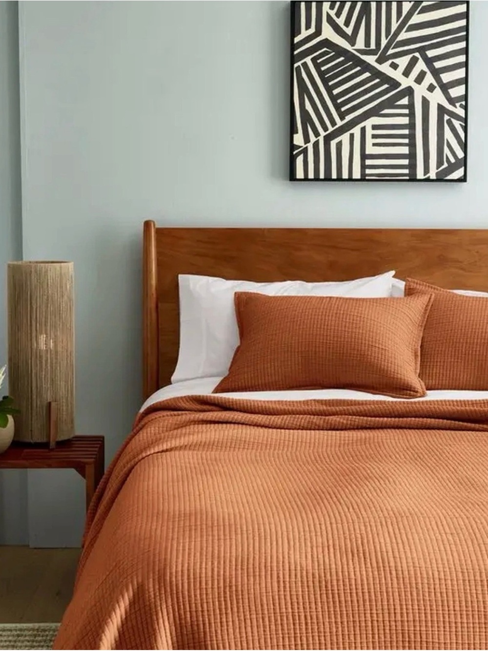 NEW QUINCE $135 Terracotta Organic Ribbed Cotton Coverlet Set
